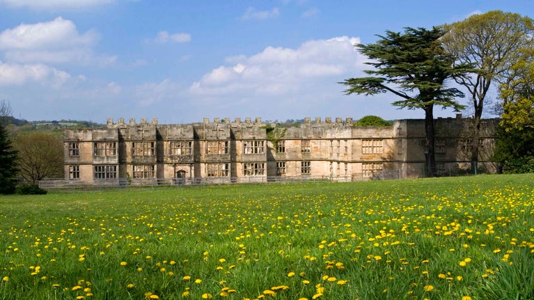 View across a wildflower meadow to the Hall at Gibside.